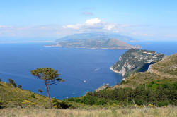 Capri Cetrella Tal