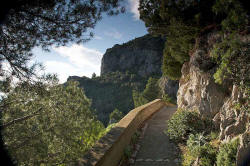 Capri Wanderweg Pizzolungo